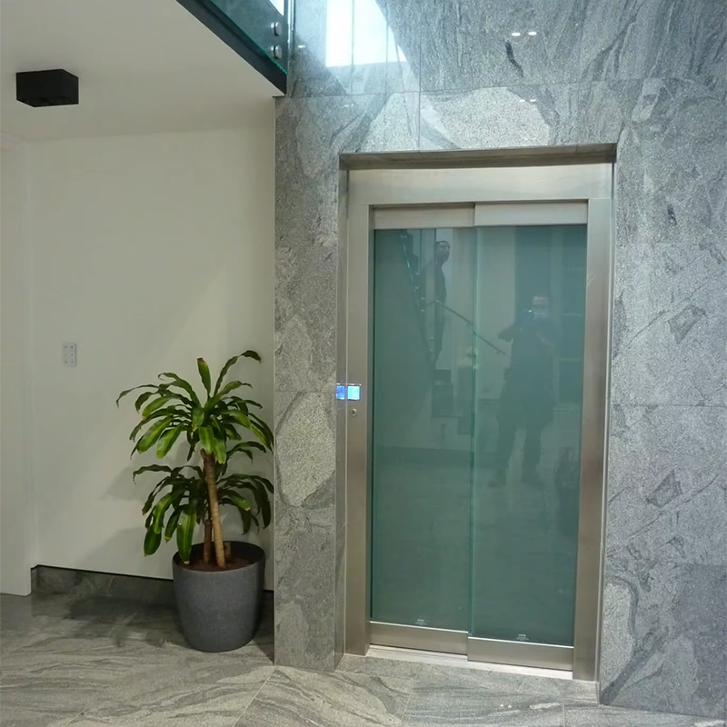 VTEO101 Ascensores Stijlvolle observatielift voor luxe appartement- en kantoorgebouwen