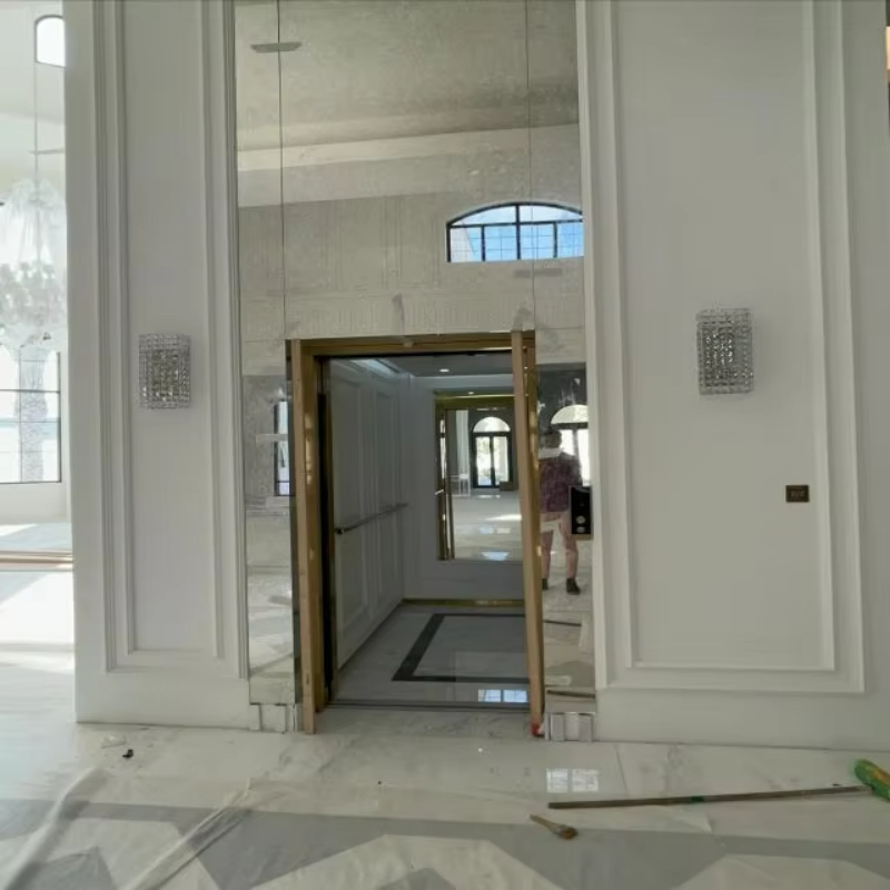 VTEP112 Elevadores hogesnelheidspassagierslift voor snelle verticale bewegingen