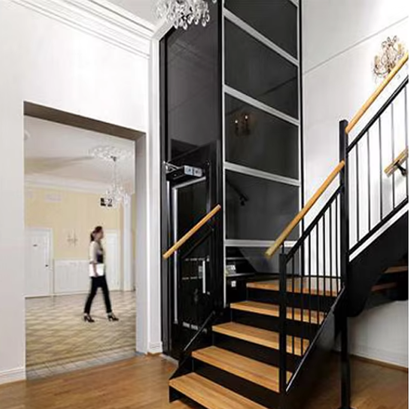 VTEV104 Ascensores Elevadores Luxe roestvrijstalen villalift voor gezinsgebruik