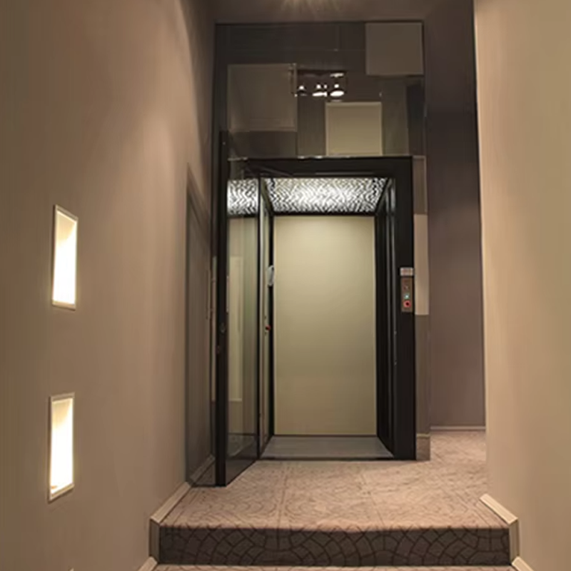 VTEV104 Ascensores Elevadores Luxe roestvrijstalen villalift voor gezinsgebruik