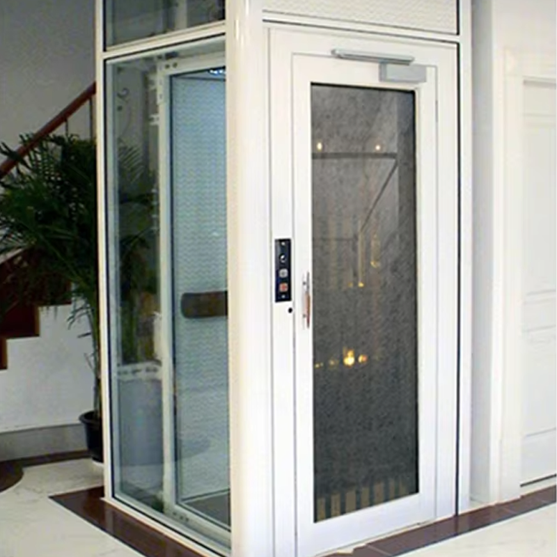 VTEV105 Ascensores Elevadores Aangepaste cabinevillalift voor interieurdecoratie