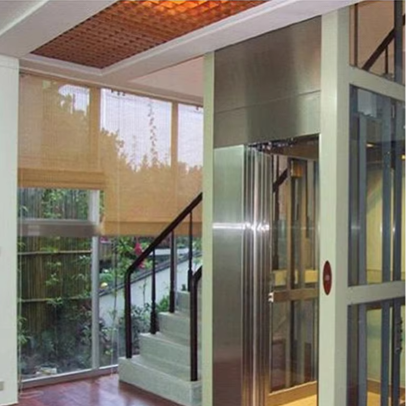 VTEV105 Ascensores Elevadores Aangepaste cabinevillalift voor interieurdecoratie