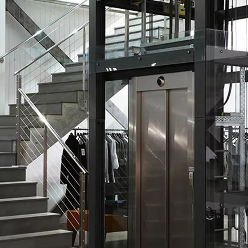 VTEV105 Ascensores Elevadores Aangepaste cabinevillalift voor interieurdecoratie