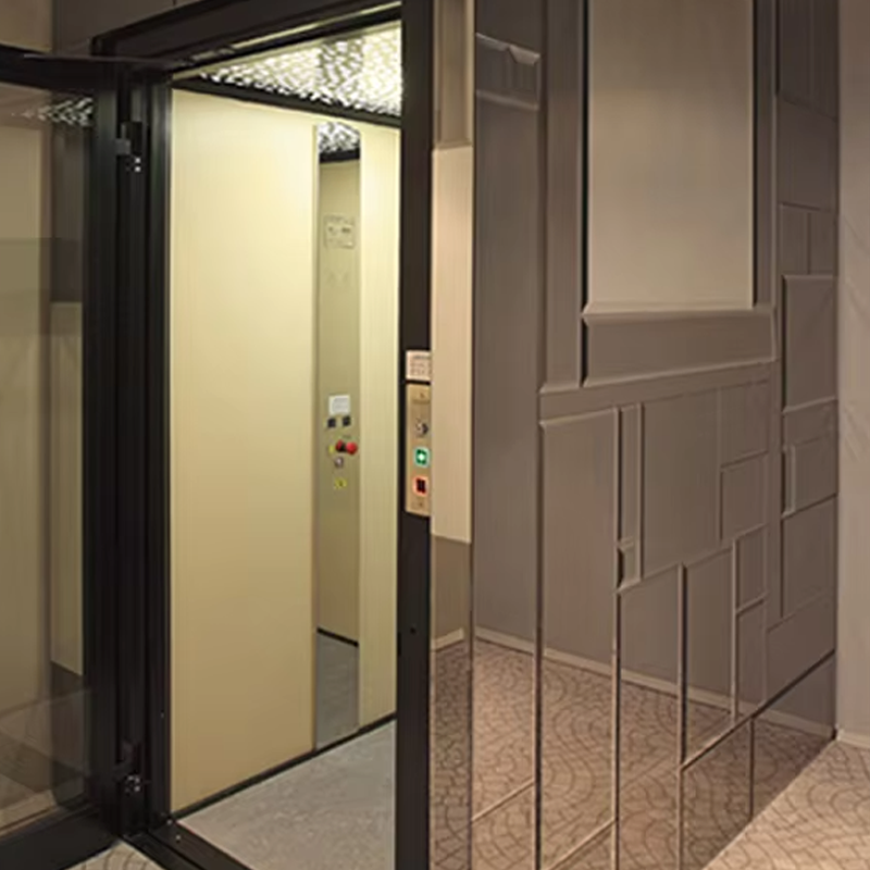 VTEV105 Ascensores Elevadores Aangepaste cabinevillalift voor interieurdecoratie