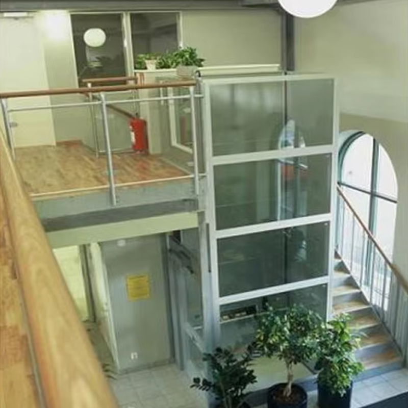 VTEV105 Ascensores Elevadores Aangepaste cabinevillalift voor interieurdecoratie