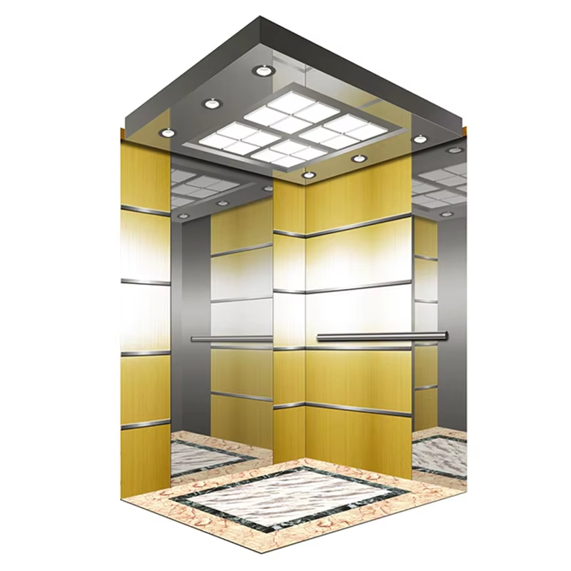 VTSP125 Aangepaste passagierslift Cabine RVS constructie Geluidsarm Eigenschap 1 jaar garantie Meerdere afwerkingsopties