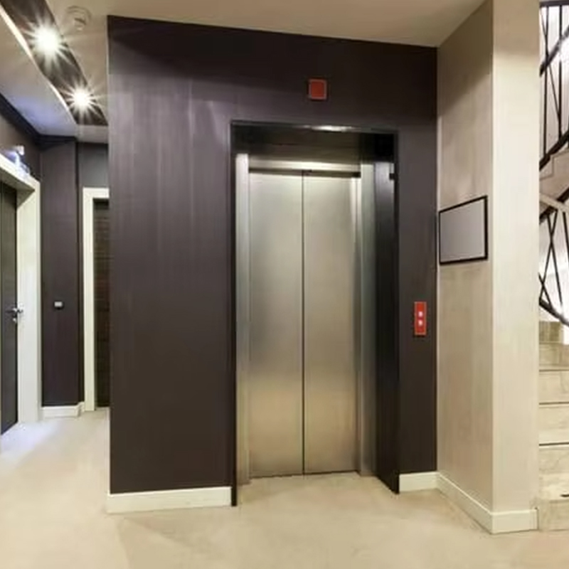 VTEP123 Luxe op maat gemaakte residentiële passagierslift met AC-aandrijving en panoramisch ontwerp