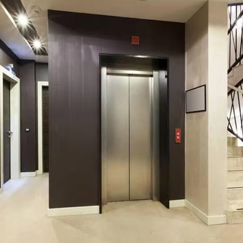 VTEP124 China merk moderne passagierslift fabrikant hoge prestaties lift hotel gebruik PVC vloer roestvrijstalen AC-aandrijving