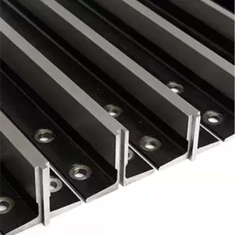 VTSP112 Liftonderdelen en -accessoires T89 stalen geleiderail voor hotelgebruik met soepele werking