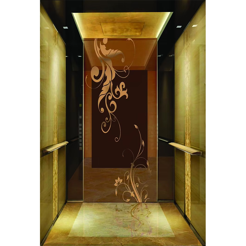 VTSP133 Luxe hotelliftcabine met premium roestvrijstalen eigentijds ontwerp Aangepaste kleur 1 jaar garantie