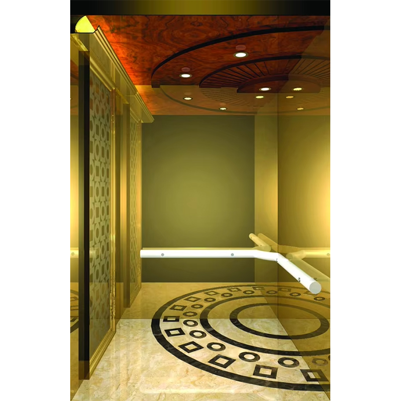 VTSP133 Luxe hotelliftcabine met premium roestvrijstalen eigentijds ontwerp Aangepaste kleur 1 jaar garantie