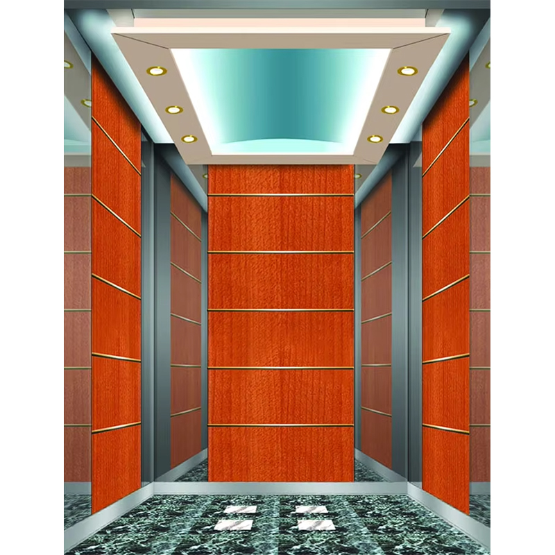 VTSP133 Luxe hotelliftcabine met premium roestvrijstalen eigentijds ontwerp Aangepaste kleur 1 jaar garantie