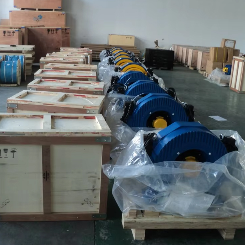 VTSP238 Montanari Gearless Tractie Machine MCG100 Lift Motor 320-630KGS Motor Motor