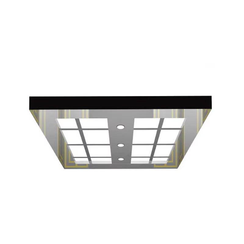 VTSP138 Liftmoderniseringsonderdelen Aangepast liftplafond LED-verlichting Spiegel RVS liftplafond