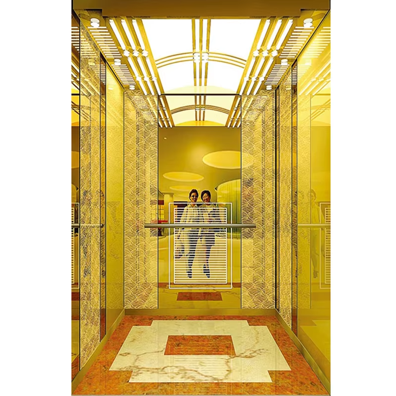 VTSP127 Liftonderdelen en -accessoires Duurzame roestvrijstalen liftcabine met plint en leuning